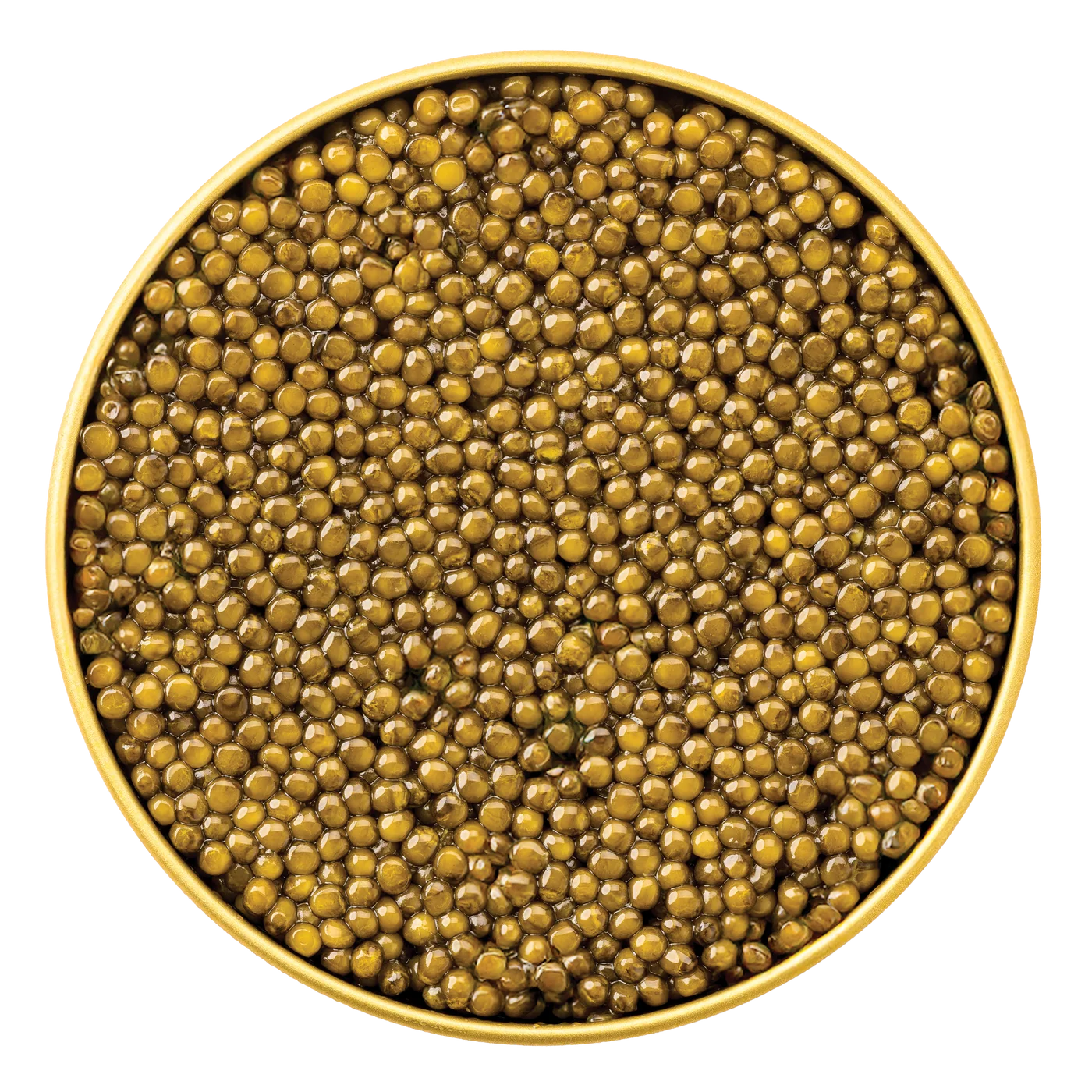 An open tin of Kaluga caviar photographed from above.
