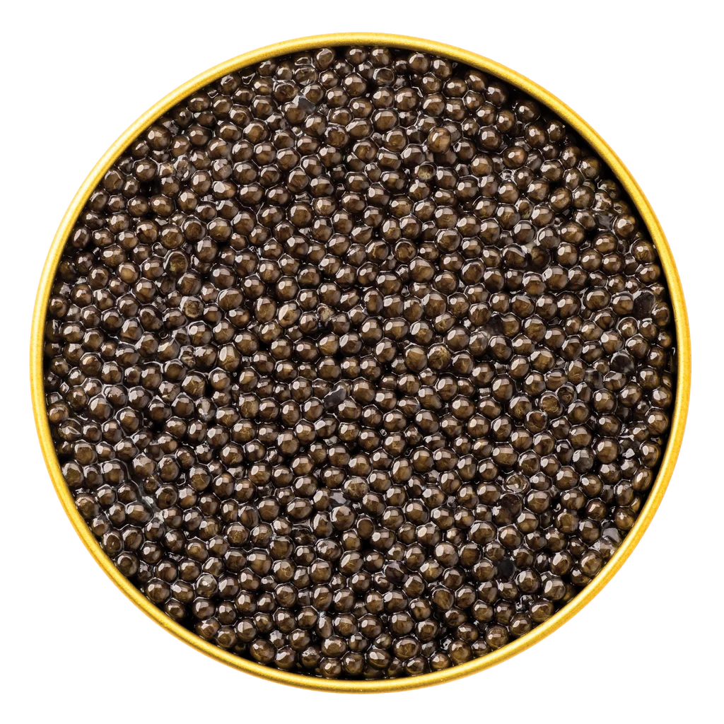 An open tin of Ossetra caviar photographed from above.